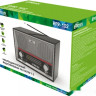 Радиоприемник Ritmix RPR-102 (карбон) Радиоприемник Ritmix RPR-102 (карбон)