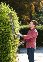 Кусторез Ryobi RHT8165RL