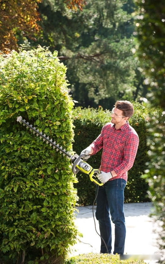 Кусторез Ryobi RHT8165RL Кусторез Ryobi RHT8165RL