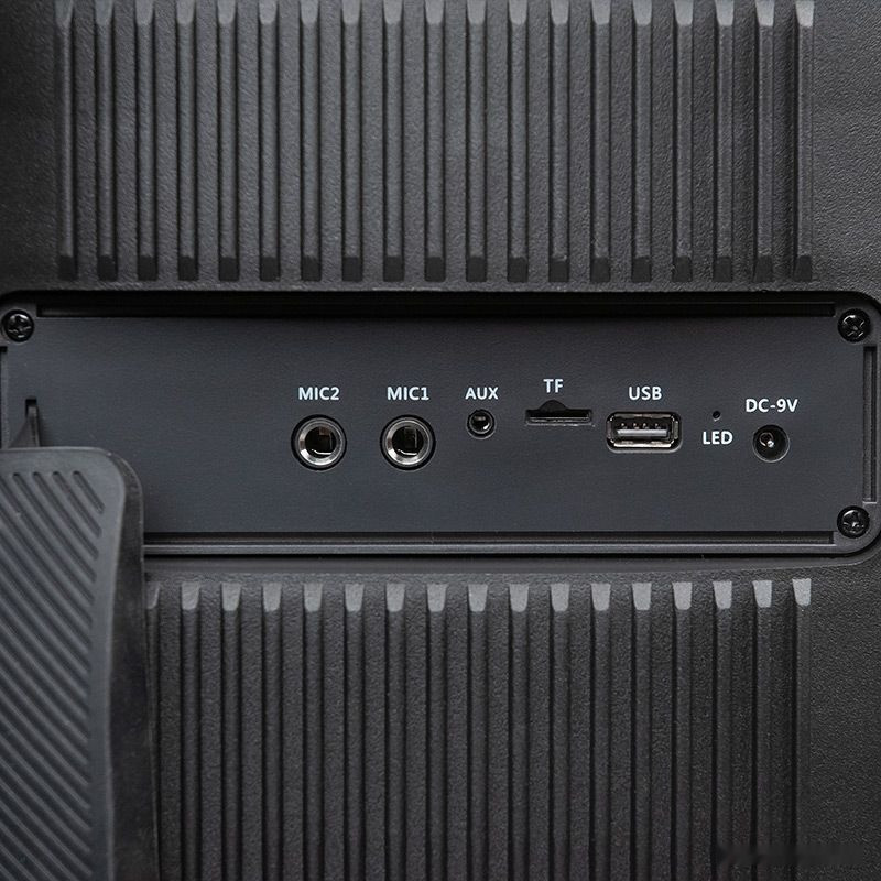 Колонка для вечеринок DIALOG AO-300 Колонка для вечеринок DIALOG AO-300