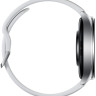 Умные часы Xiaomi Watch 2 M2320W1 (серебристый/серый, международная версия)