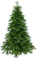 Ель Beatrees Anson 1.8 м (Green)