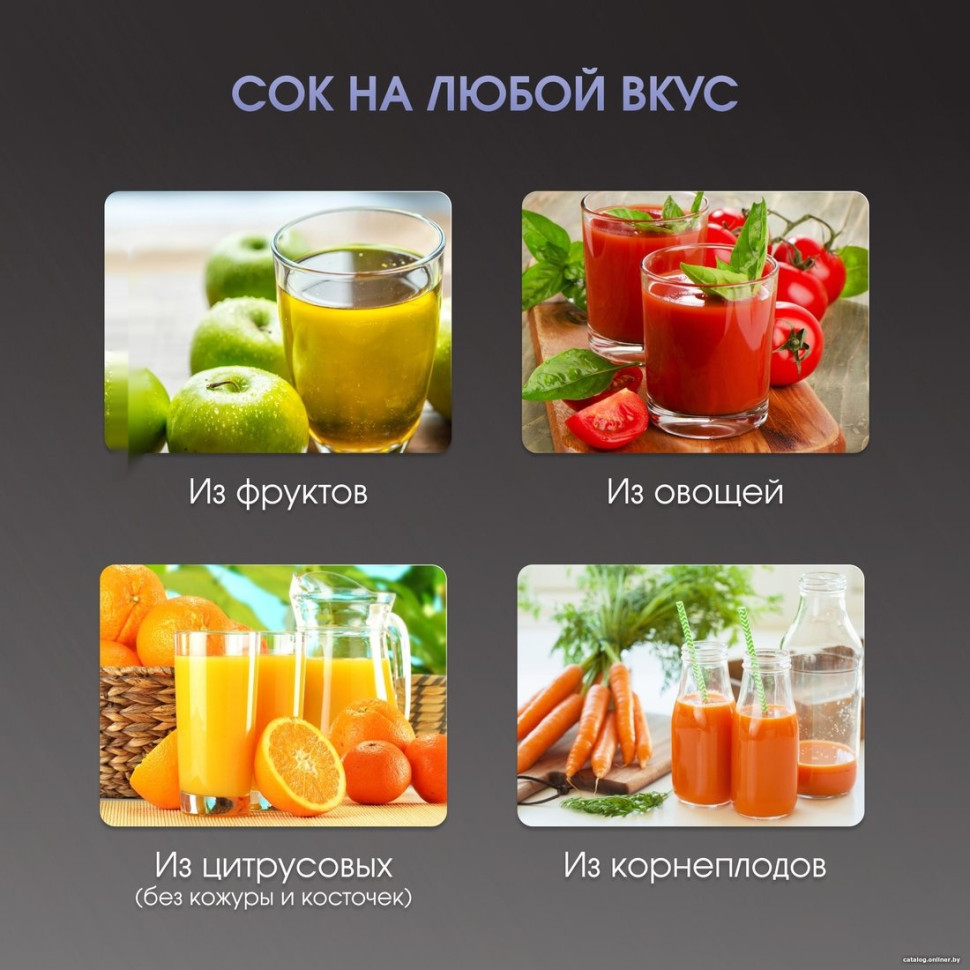 Соковыжималка Zigmund & Shtain EJ-757 Соковыжималка Zigmund & Shtain EJ-757