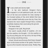 Электронная книга Amazon Kindle Paperwhite 2018 32GB (черный)