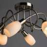 Припотолочная люстра Arte Lamp Volare A4591PL-6SS