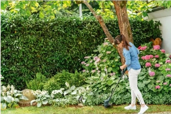 Триммер Bosch Easy GrassCut 23 06008C1H01