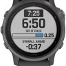 Умные часы Garmin Fenix 6s Sapphire (серый DLC/черный)