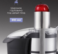 Соковыжималка Zigmund &amp; Shtain EJ-755