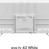Телевизор Evo TV 43 White TD0051750RU Телевизор Evo TV 43 White TD0051750RU
