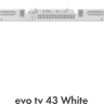 Телевизор Evo TV 43 White TD0051750RU Телевизор Evo TV 43 White TD0051750RU