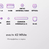 Телевизор Evo TV 43 White TD0051750RU Телевизор Evo TV 43 White TD0051750RU