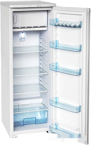 Однокамерный холодильник Бирюса M107 Однокамерный холодильник Бирюса M107