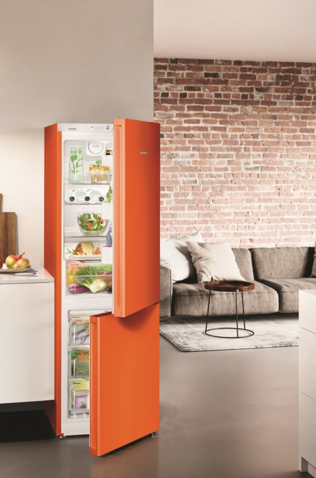 Холодильник с нижней морозильной камерой Liebherr CNno 4313