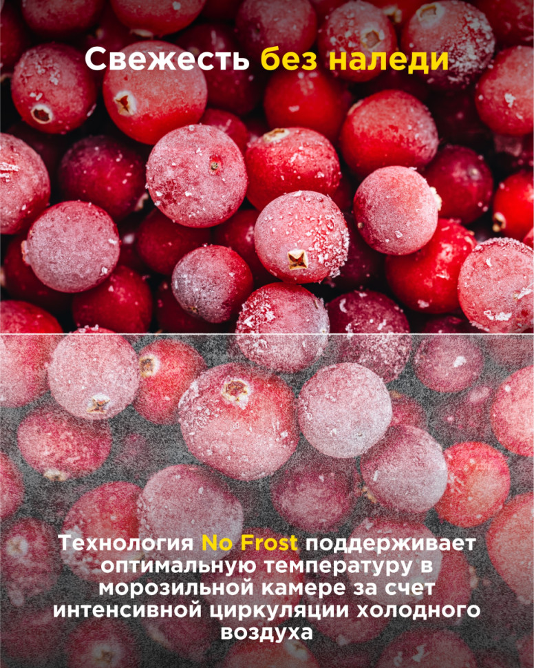 Холодильник side by side Techno HC-769WEN