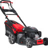 Газонокосилка Evoline LMG 53 CVH Газонокосилка Evoline LMG 53 CVH