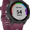 Умные часы Garmin Forerunner 245 (вишневый)