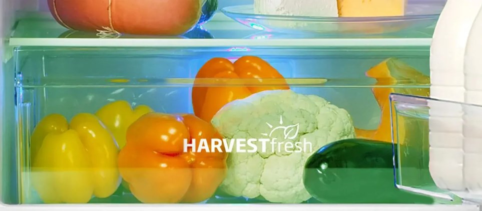 Холодильник с морозильником Beko B3R0CNK312HG Холодильник с морозильником Beko B3R0CNK312HG