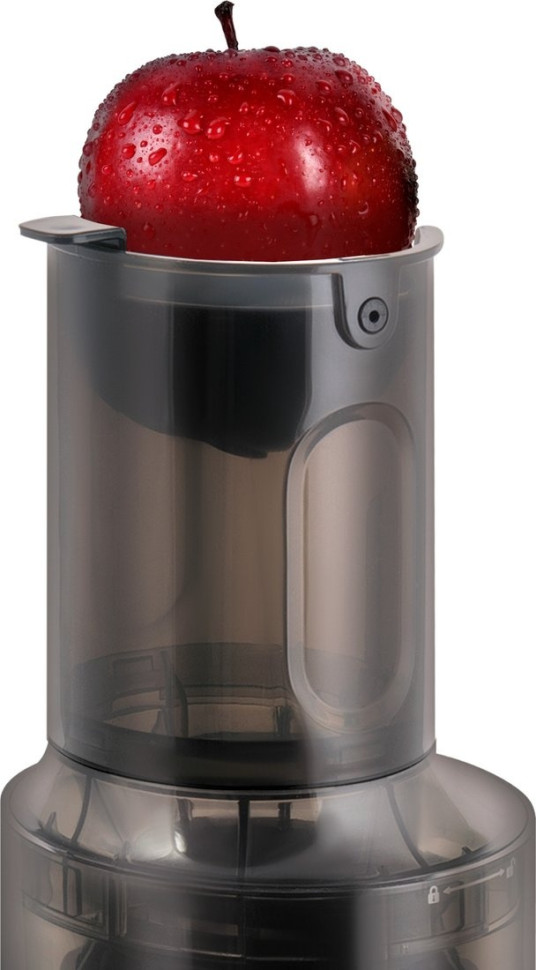 Соковыжималка Zigmund & Shtain ESJ-771 Соковыжималка Zigmund & Shtain ESJ-771