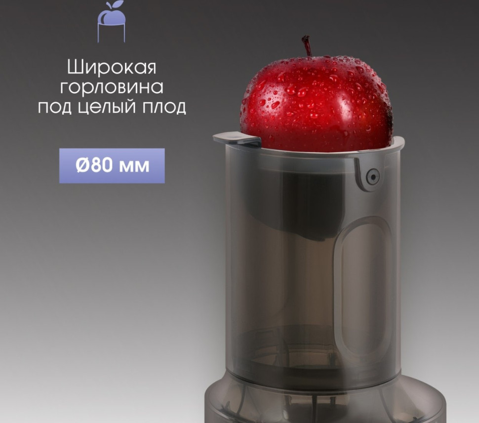 Соковыжималка Zigmund & Shtain ESJ-771 Соковыжималка Zigmund & Shtain ESJ-771