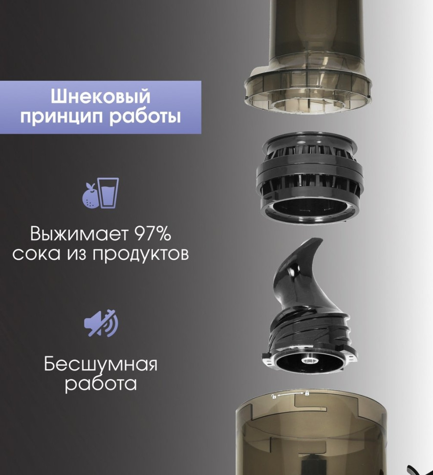 Соковыжималка Zigmund & Shtain ESJ-771 Соковыжималка Zigmund & Shtain ESJ-771