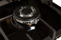 Варочная панель Oasis P-MBRT (B)