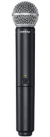 Радиосистема Shure BLX288E/PG58 M17