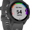 Умные часы Garmin Forerunner 245 (серый)