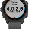 Умные часы Garmin Forerunner 245 (серый)