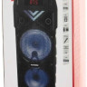 Музыкальный центр Telefunken TF-PS2204S