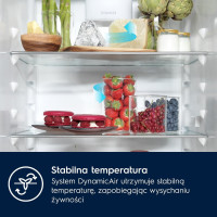 Холодильник Electrolux E7TNGE18S