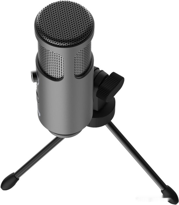 Микрофон Lorgar Voicer 521 Микрофон Lorgar Voicer 521