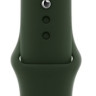 Ремешок Apple Sport Band 44mm (Cyprus Green)