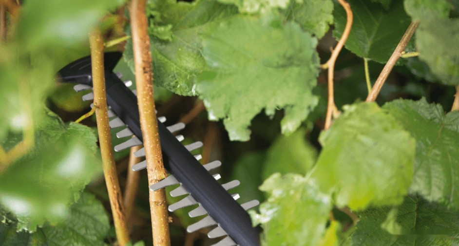 Кусторез + ножницы Bosch Advanced Shear 18V-10 0600857001 (без АКБ) Кусторез + ножницы Bosch Advanced Shear 18V-10 0600857001 (без АКБ)