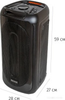 Портативная акустика AIWA CAS-815