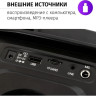 Портативная акустика AIWA CAS-815