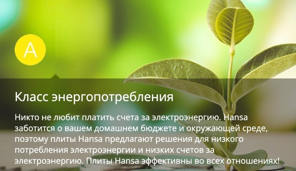 Плита Hansa FCMW580957 Плита Hansa FCMW580957