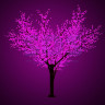 Световое дерево Neon-night Сакура (диаметр кроны 300 см, фиолетовый) [531-216]