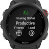 Умные часы Garmin Forerunner 245 Music (черный)