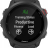 Умные часы Garmin Forerunner 245 Music (черный)