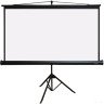 Проекционный экран PL Magna TRM-PC-113D Проекционный экран PL Magna TRM-PC-113D