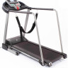 Беговая дорожка DFC Walker EVO T-S1 Беговая дорожка DFC Walker EVO T-S1
