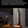 Вертикальный моющий пылесос Dreame T16 Pro TriForce Wet and Dry Vacuum HHR32E (евровилка)