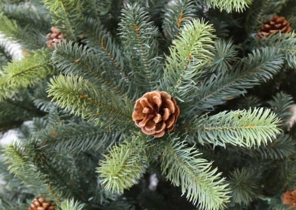 Ель GreenLand Stefanie 1.95 м (с гирляндой) Ель GreenLand Stefanie 1.95 м (с гирляндой)