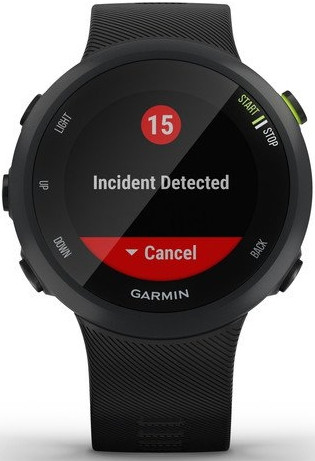 Умные часы Garmin Forerunner 45 (черный)