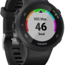 Умные часы Garmin Forerunner 45 (черный)