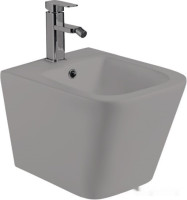 Биде Weltwasser Gelbach 005 MT-GR (серый матовый)