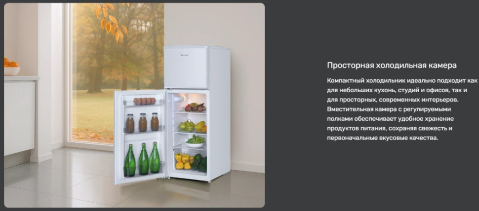 Холодильник Techno DF2-20