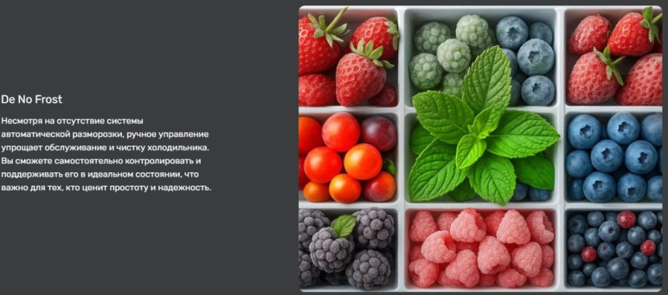 Холодильник Techno DF2-20