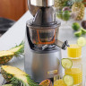 Соковыжималка Kenwood JMP800SI Соковыжималка Kenwood JMP800SI
