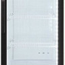 Торговый холодильник Бирюса B300D